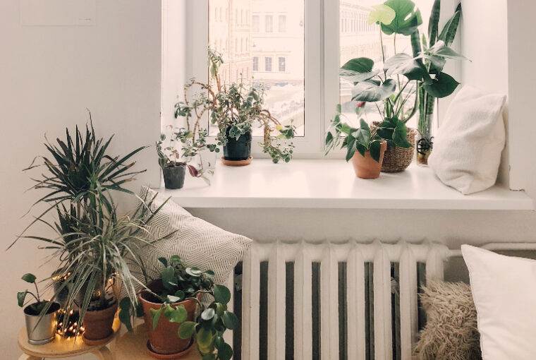 How To Plant Mom: 5 Fool-Proof Methods For A Thriving Garden